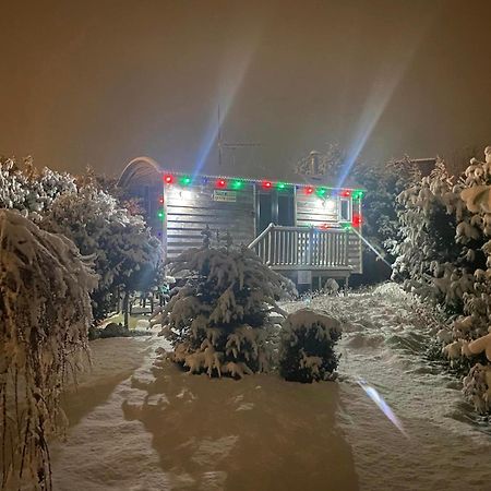 The Little John Petite Cosy Log Cabin - Sleeps 2, Great For Romantic Breaks, Couples, Single Guests, Near Sherwood Forest At Fairview Farm, Nottingham Set In 88 Acres Blidworth Buitenkant foto